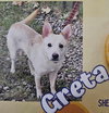 Greta - Photo 2