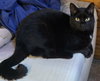 Peter - Photo 1