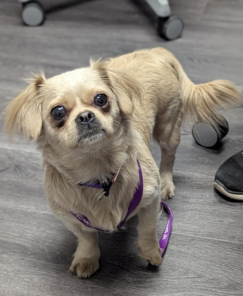 Photo of Miss Marta