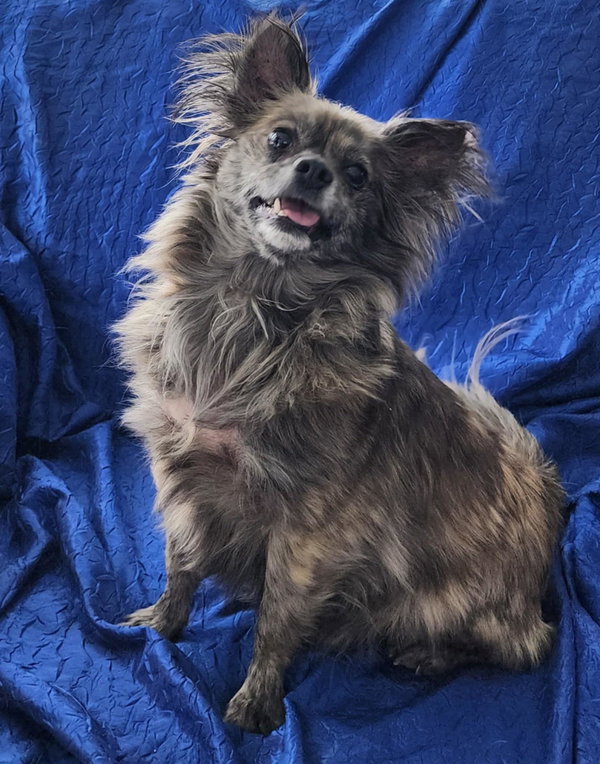 Roscoe