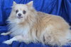 Gabe - Photo 2