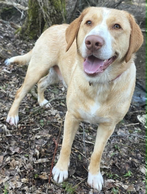 Reba