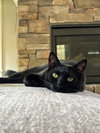 Fran - Photo 4