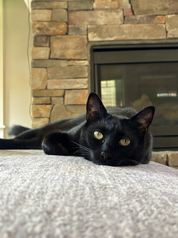 Fran