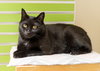 Fran - Photo 3