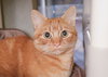 Beverly - Photo 1