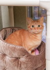 Beverly - Photo 3