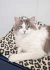 Ricky - Photo 1