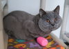 Hagar - Photo 3