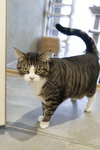 Nibbler - Photo 3