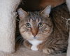 Teddy - Photo 2