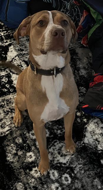 CHARLIE
