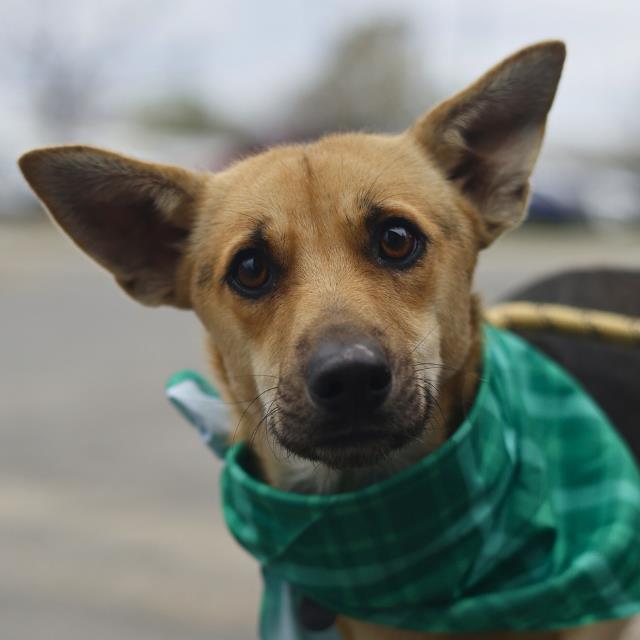CHARLIE B. BARKIN Image
