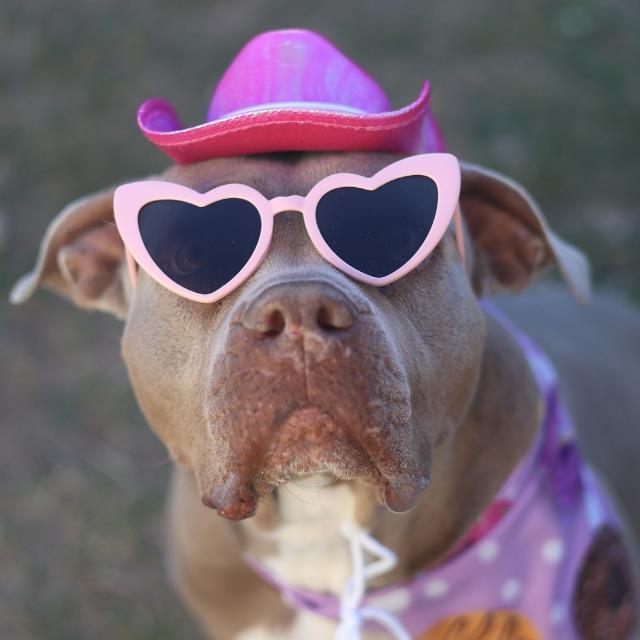 COOKIE MARIA Image