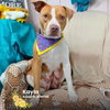 MISSY - Photo 1