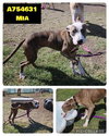 MIA - Photo 1