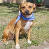MISSY - Photo 1