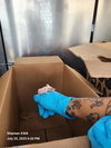 GUS GUS - Photo 1