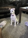 COCO - Photo 1
