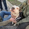 BRUNO - Photo 1