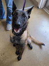 MOKI - Photo 1
