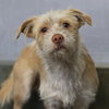 BENNY - Photo 1
