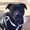 COLBY - Photo 1