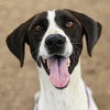 DARLA - Photo 1