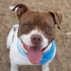 ROCCO - Photo 1