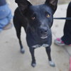 DARLA - Photo 1