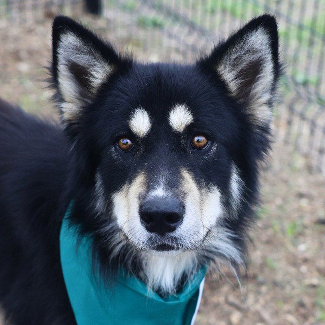 OSO