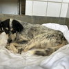 SPUNKY - Photo 1