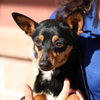 WILMA - Photo 1