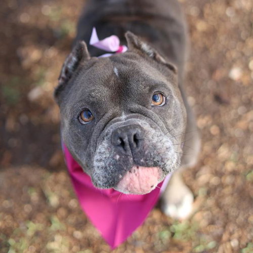 LUA