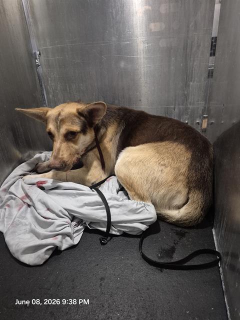 OCEAN