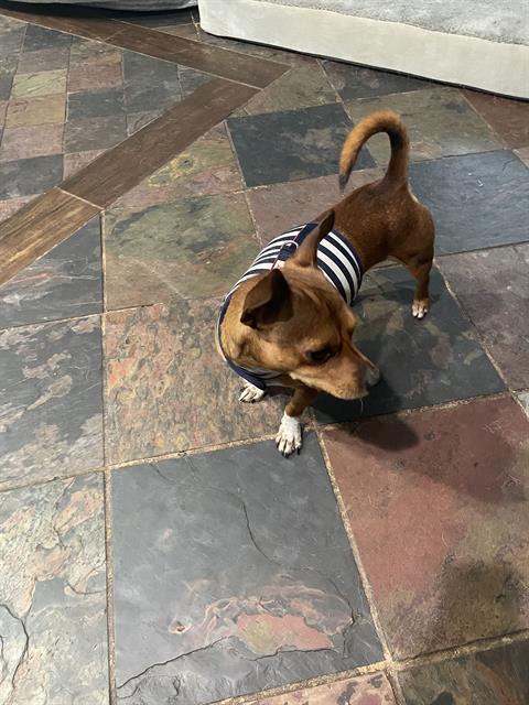 TITO