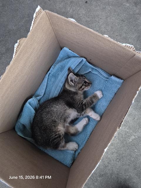 ASTRO