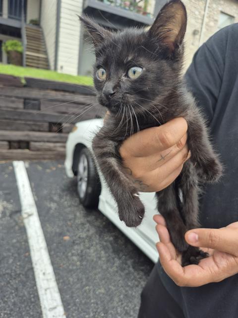 SALEM