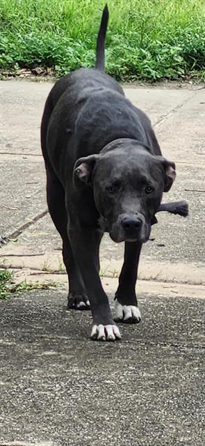 KILO