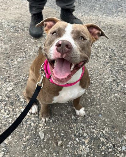 LUNA
