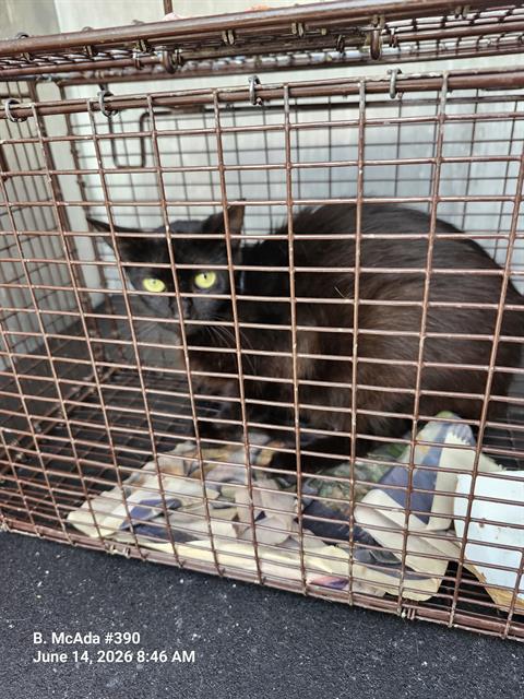 ELOISE