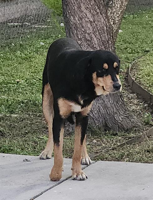 TOTO
