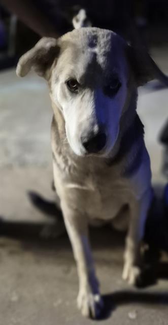 Ms. Pickles