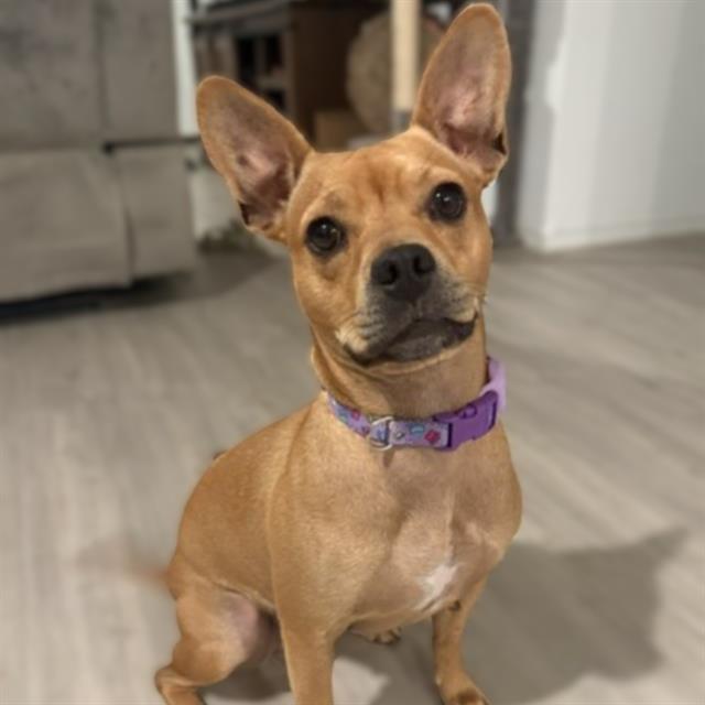 LALA