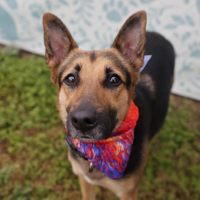 NALA