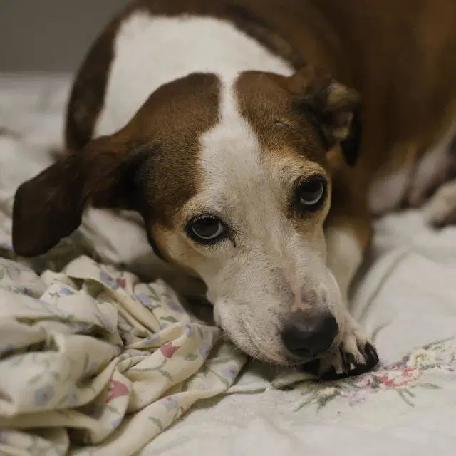 Jenny image 1