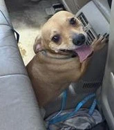 Sam