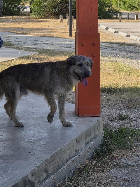 Clyde