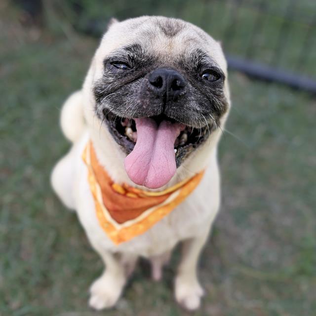 Ramona