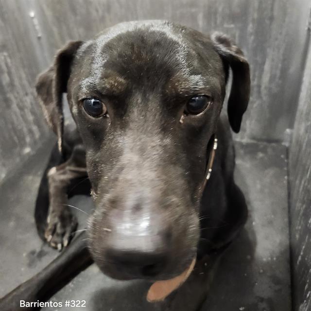 Midnight